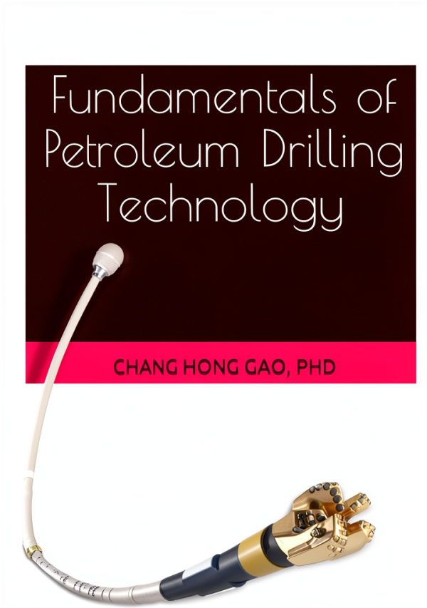 Petrochemical Engineering Kindle eBook by Wiley 100 Page Guide-0